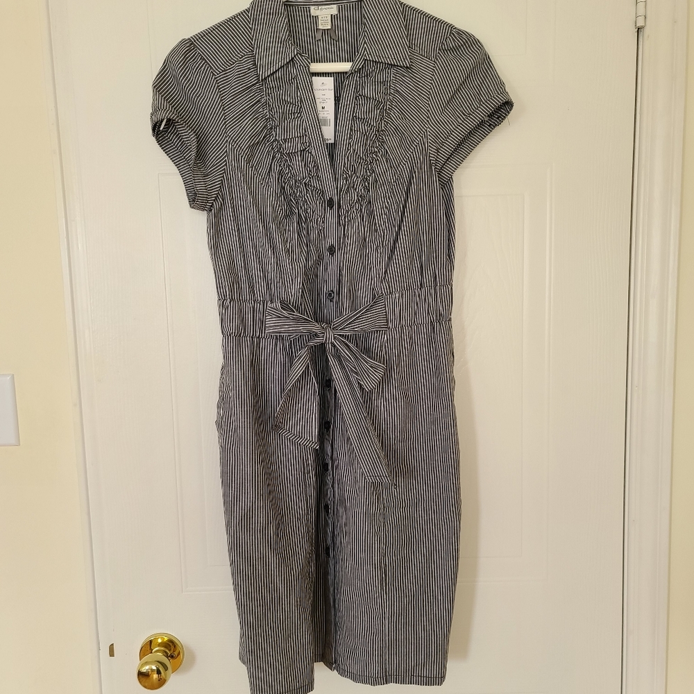 Dynamite Striped Poplin Belted Dress with Pockets